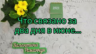 Вязание. КАРДИГАН В ПРОЦЕССЕ...СКОЛЬКО СВЯЗАНО ЗА ДВА ДНЯ ИЮНЯ...