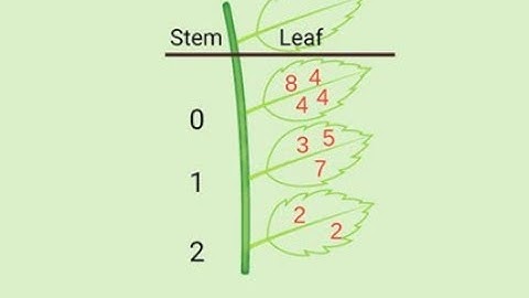 Stem and Leaf Diagram – D2 Mathematics – Ch16–Review Ex–01