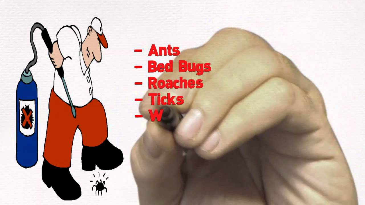 Toro Pest Management: Pest Control & Termite Control Services in Miami ...