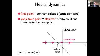Neural Dynamics