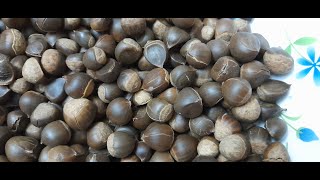 How to enjoy Chestnut #Is this chestnut? #Roast Chestnut #Sasi thabo