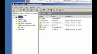 Bulk User Creation