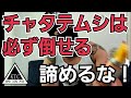 【抗争2年目を終えて】チャタテムシに実際有効だった兵器紹介 [1892]