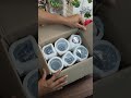 affordable glasses on meesho.... #meesho #meeshofinds #kitchenware #reelitfeelit #reelkarofeelkaro