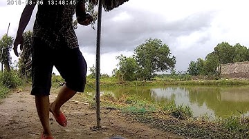 Câu cá chim hồ dịch vụ cá ăn không kịp kéo