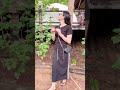បេះផ្លែម៉ូនញ៉ាំ