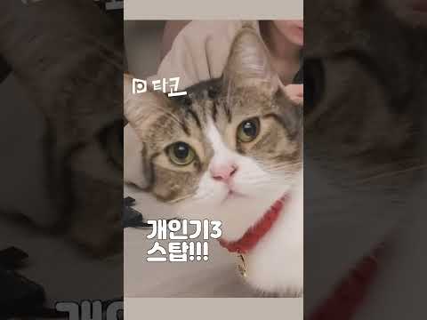 <strong>너는</strong> 도대체..<strong>왜</strong>....넌 뭐니? 합성아님!!