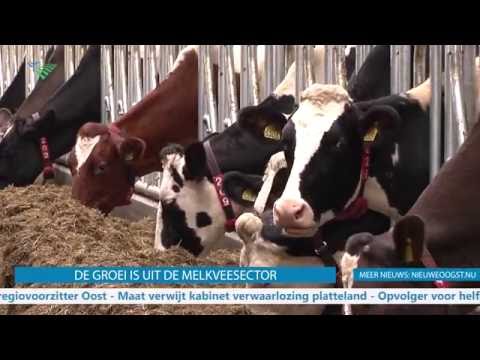 TV: Vlaanderen erkent noodweer wel als ramp