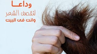 تنعيم  الشعر الهايش فك تشابك الشعر وصفة مجربة للشعر الجاف