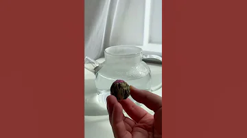 Популярный зеленый связанный чай🌸 (blooming tea) Основа: сладковатый клевер