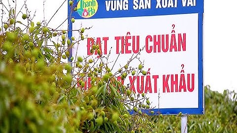 Đẩy mạnh kết nối tiêu thụ Vải