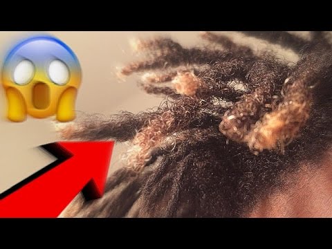 HOW TO MAINTAIN FREEFORMED HAIR! | HOW TO TAKE CARE OF YOUR HAIR! - YouTube