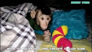 LEARNING TO SLEEP ALONE | BELAJAR TIDUR SENDIRI TANPA DI KELONIN