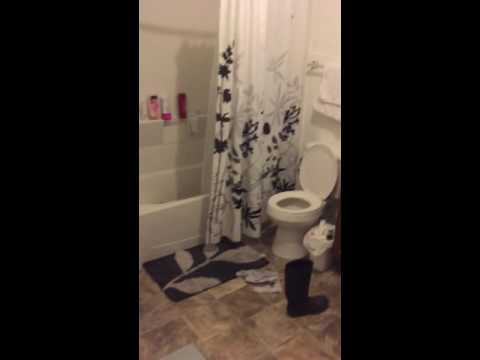 Flying Roach meets my wife's foot!!