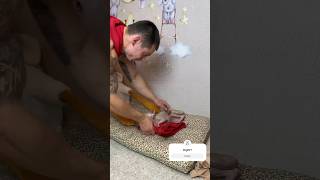 The bad owner got what he deserved