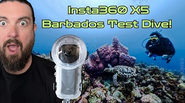 Insta360 X5 Invisible Dive Case: Is It Worth It? (Barbados Reef Dive and Lionfish Hunting)
