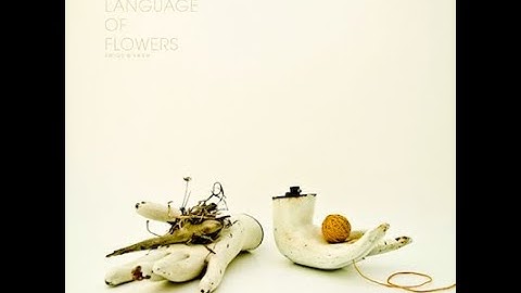 Twigs & Yarn – The Language Of Flowers (FULL LP ALBUM - 2012 - Flau - Ambient/Experimental)
