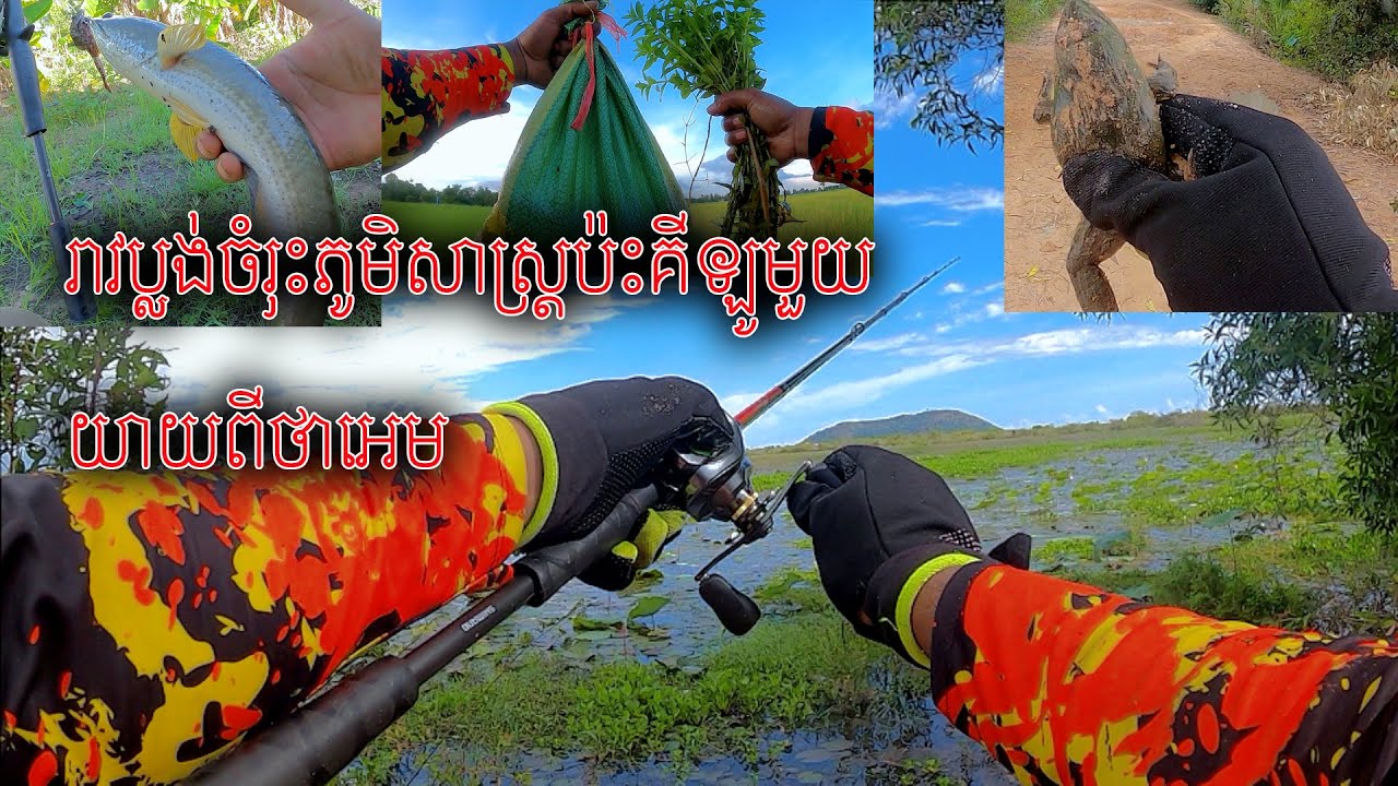 រាវប្លង់ចំរុះភូមោសាស្រ្តប៉ះគីឡូមួយយាយពីថាអេម #fishing #bassfishing #uniquefishing
