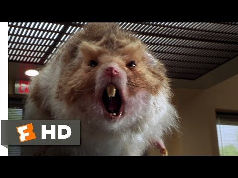Giant Hamster Attack Scene - Nutty Professor 2: Th...