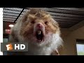 Nutty Professor 2: The Klumps (8/9) Movie CLIP - Giant Hamster Attack (2000) HD