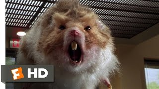 Nutty Professor 2: The Klumps (8/9) Movie CLIP - Giant Hamster Attack (2000) HD