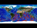 Quake/ Tsunami Wave Heights: Indian Ocean - December 26, 2004 (Science On a Sphere)