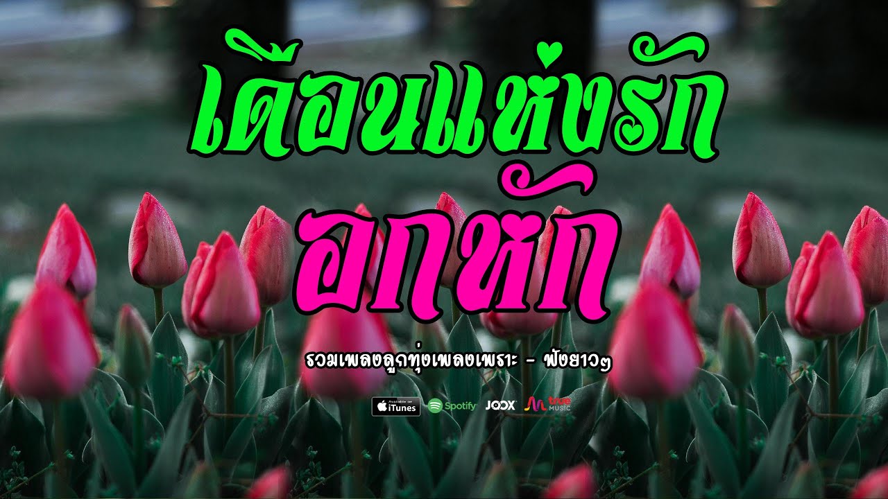 อกหักเดือนแห่งรัก รวมเพลงเศร้าอกหัก