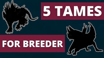 5 TAMES that make you a PRO BREEDER