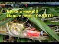 Щука в июне. Малые реки - рулят!