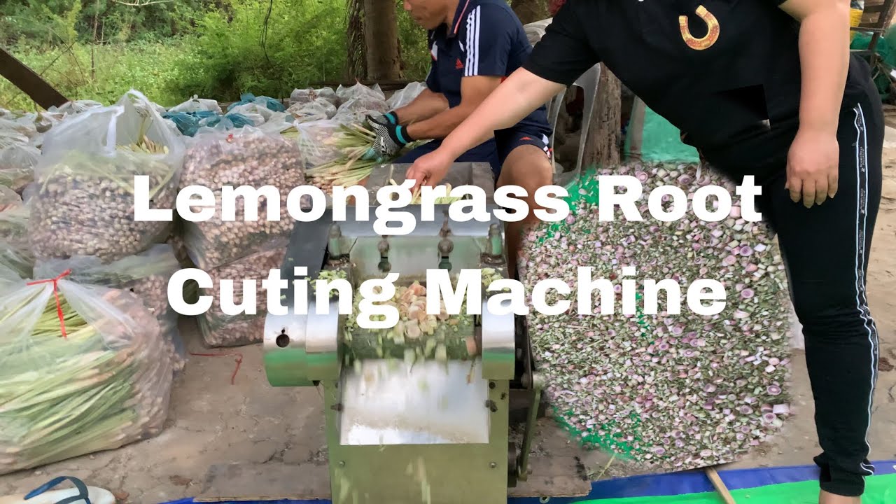 Machine Cutting Lemongrass YouTube machine-cutting-lemongrass-youtube