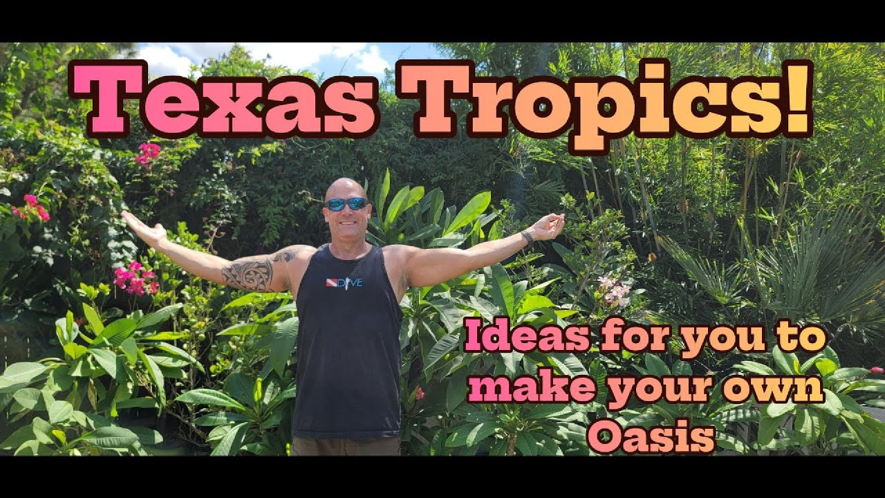 Техасские тропики!