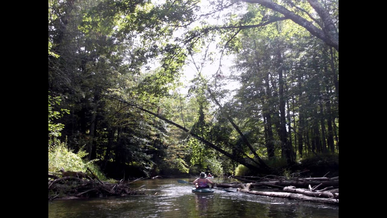 Kayaking Big Bear Creek in Manistee County MI YouTube