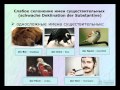 4. Склонение имен существительных.  Грамматика немецкого языка