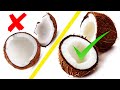 How to break a coconut in half