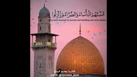 ألا إنَّ نصرَ اللهِ قريب - للقارئ وديع اليماني 🌸