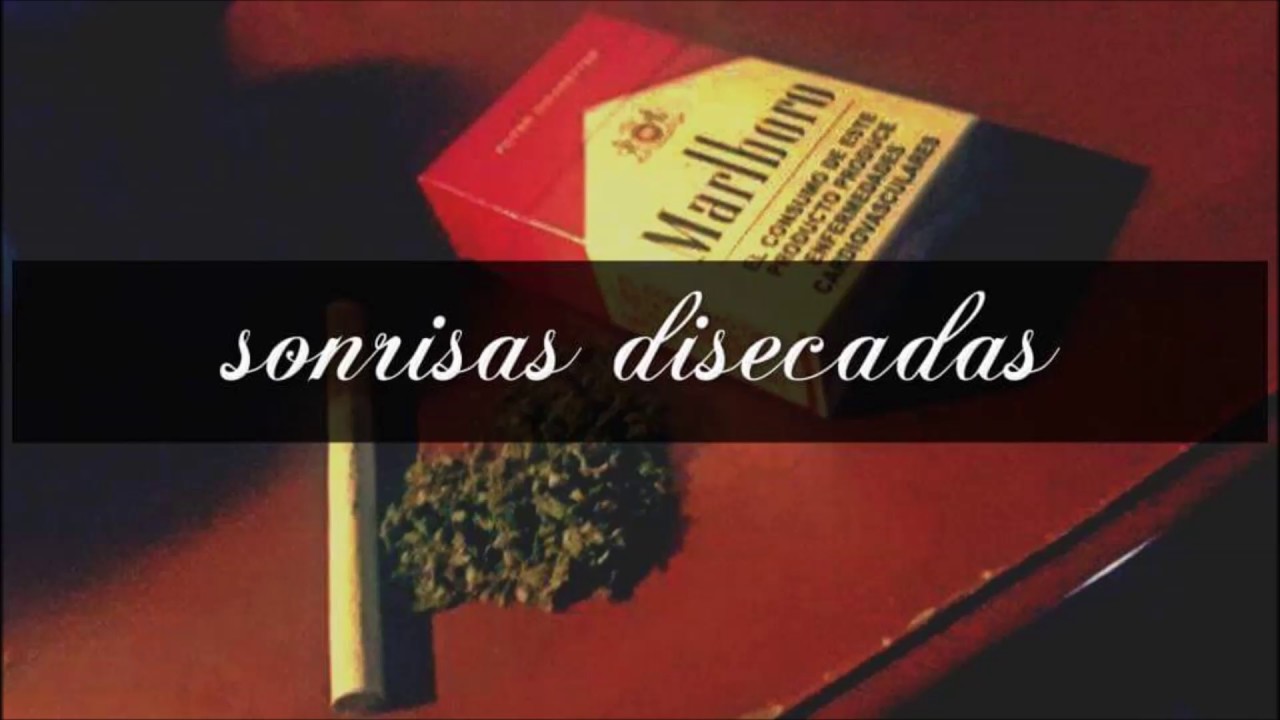 camera iphone 8 plus apk Harlem - Sonrisas Disecadas