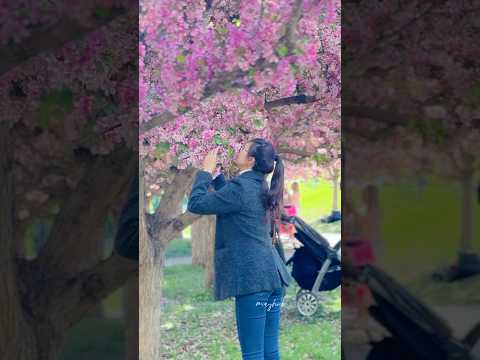 Spring in Calgary 🌸🍃🇨🇦  #spring #calgary