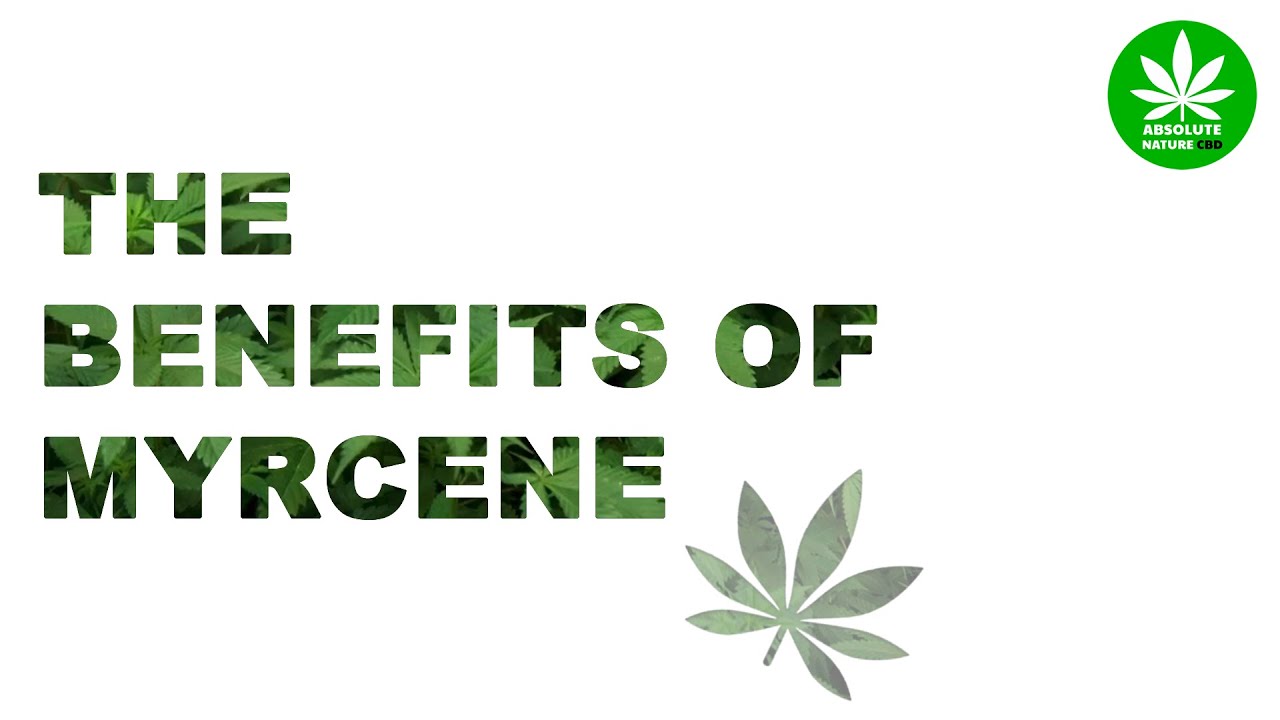 Myrcene Terpene Overview The Benefits Of Myrcene B myrcene Beta myrcene-terpene-overview-the-benefits-of-myrcene-b-myrcene-beta