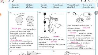 Genetik teknologi kejuruteraan GMF (GENETICALLY