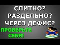 ТЕСТ ПО РУССКОМУ ЯЗЫКУ📚 СЛИТНО РАЗДЕЛЬНО ЧЕРЕЗ ДЕФИС    #русскийязык #грамотность #тест