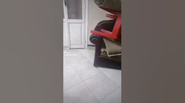 قلبه وقومه 