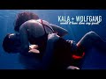 Kala  wolfgang  would it have done any good