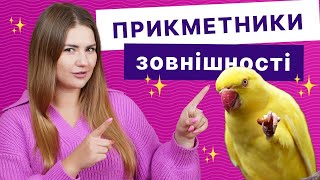 Як описати зовнішність англійською | Уроки англійської мови | Englishdom