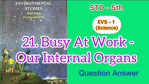 Busy at Work - Our Internal Organs | Std - 5 | EVS - 1 (Science) | lesson- 21 | Questions Answers |