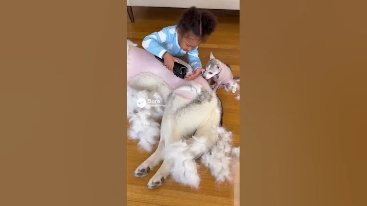 #ytshorts #youtube #reels #cute #shorts #viral #funny #ai #video #trending #yt #fun #trend #short