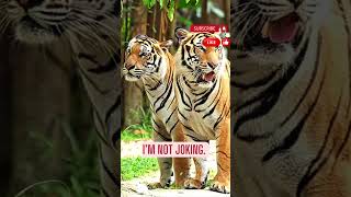 The Shocking Truth About Stephen King!  #short #shorts #shortsviral #animals