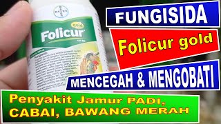 Fungisida Folicur Untuk PADI, CABAI, & BAWANG MERAH - Fungisida Sistemik Folicur Gold