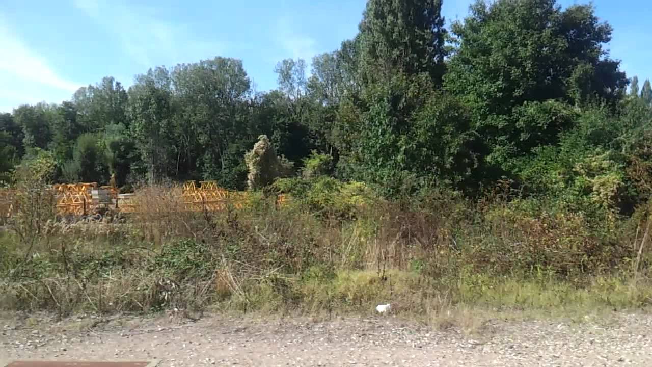 video phone lyrics (Transilien R) Z 5600 Souppes Château Landon - Montargis [HD]