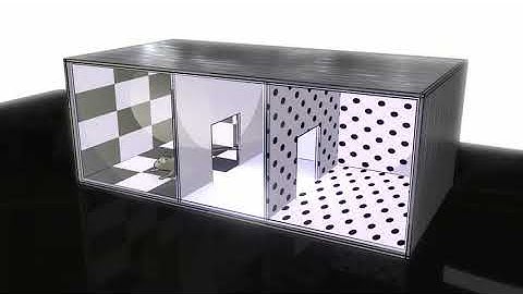 Conditioned Place Preference