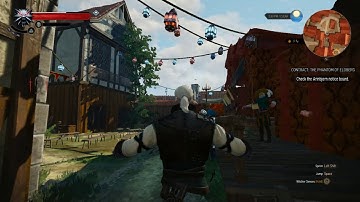 Asserting Dominance in Novigrad (Witcher 3 Bug)